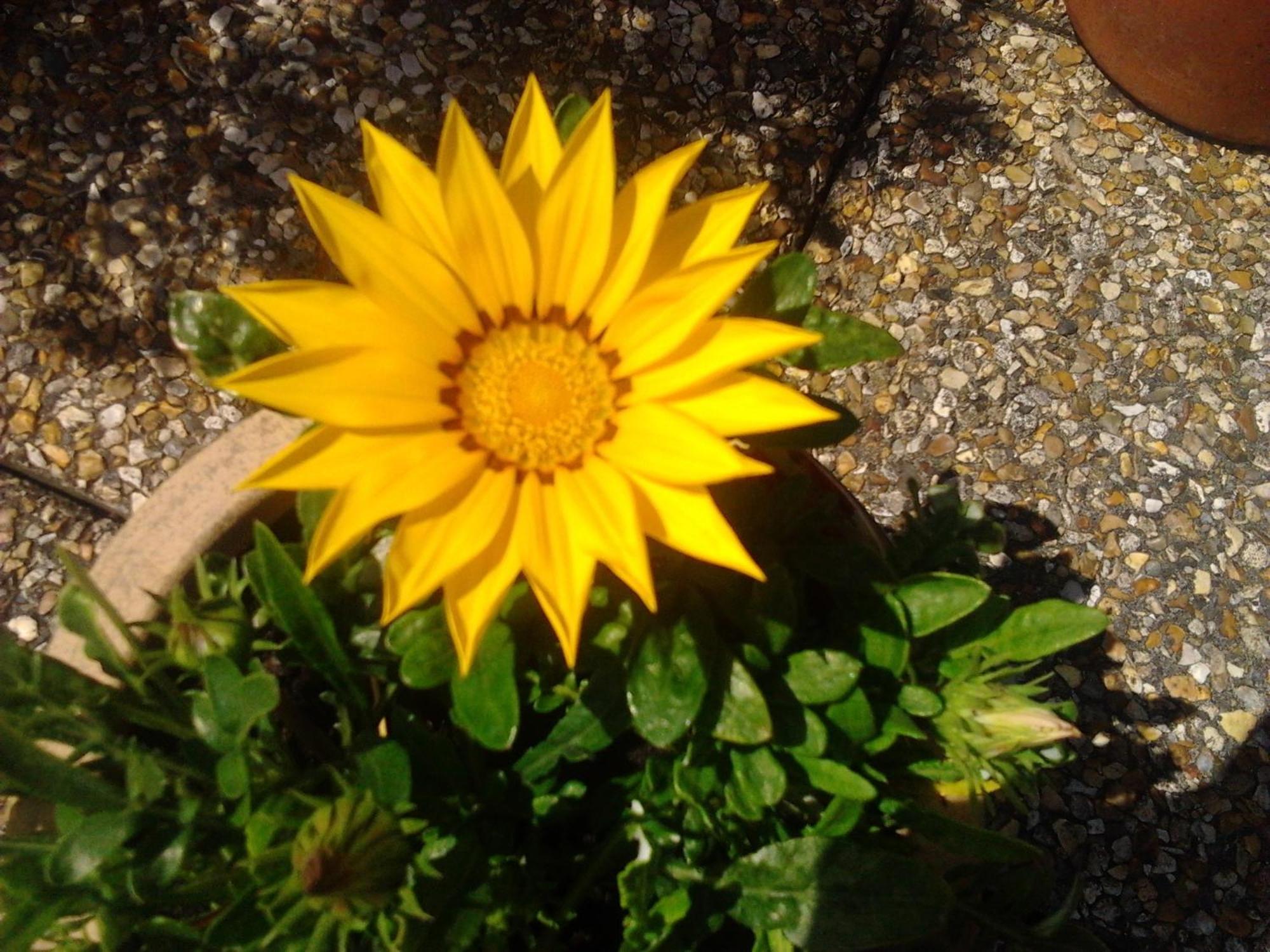 Rosslare Strand Rooms Only Accommodation Rosslare Harbour Εξωτερικό φωτογραφία